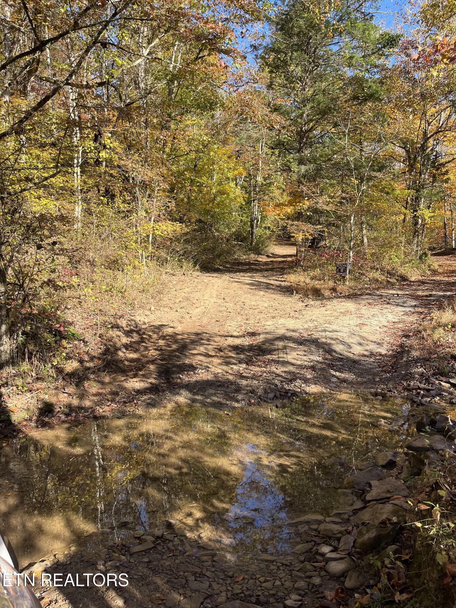 Property Photo:  Skaggs Hollow Rd  TN 37879 