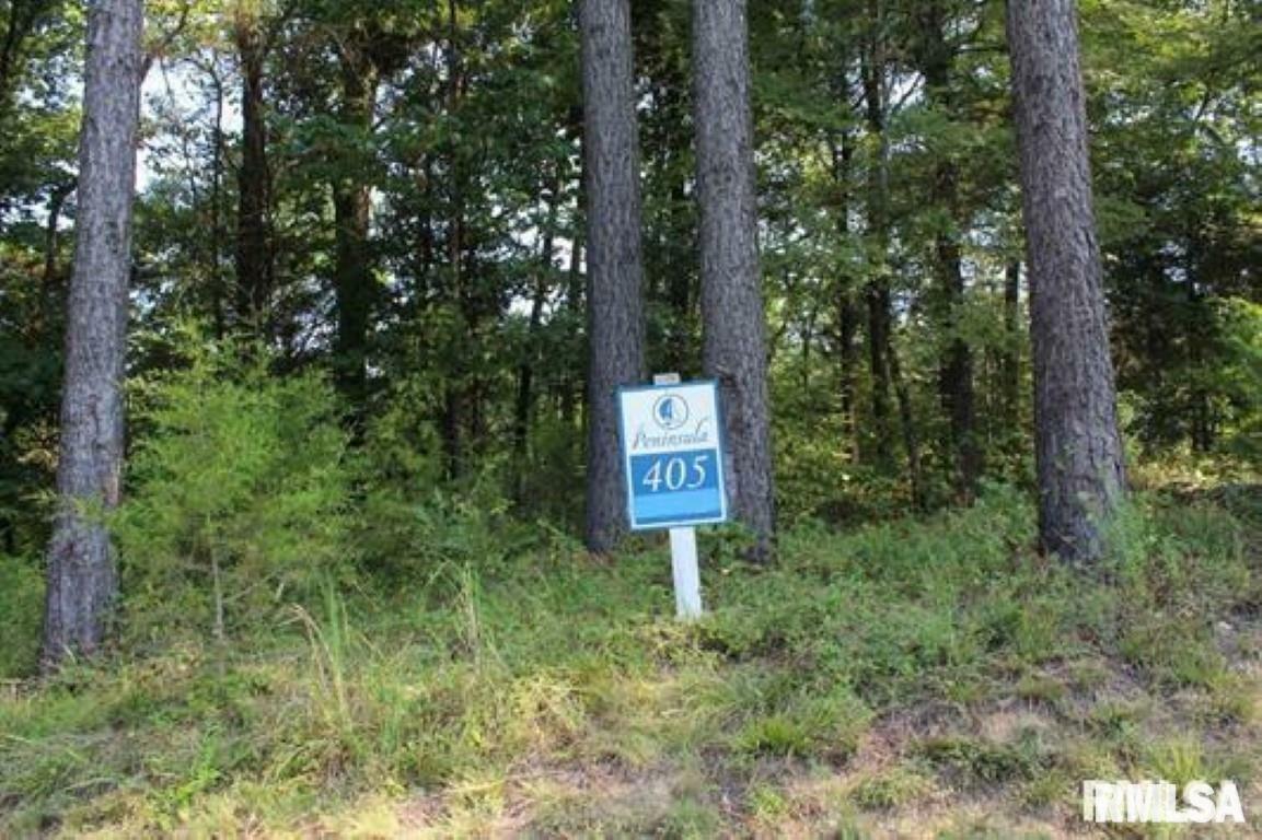 Property Photo: Lot 405 Parrish Ridge Road IL 62939