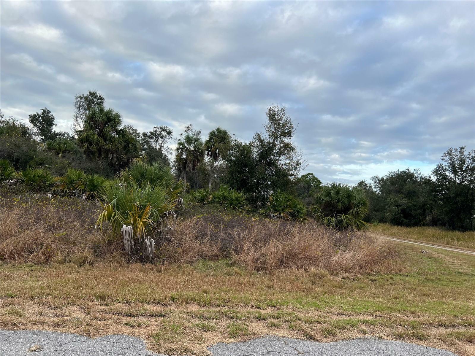 Property Photo:  Winterville Circle  FL 34288 