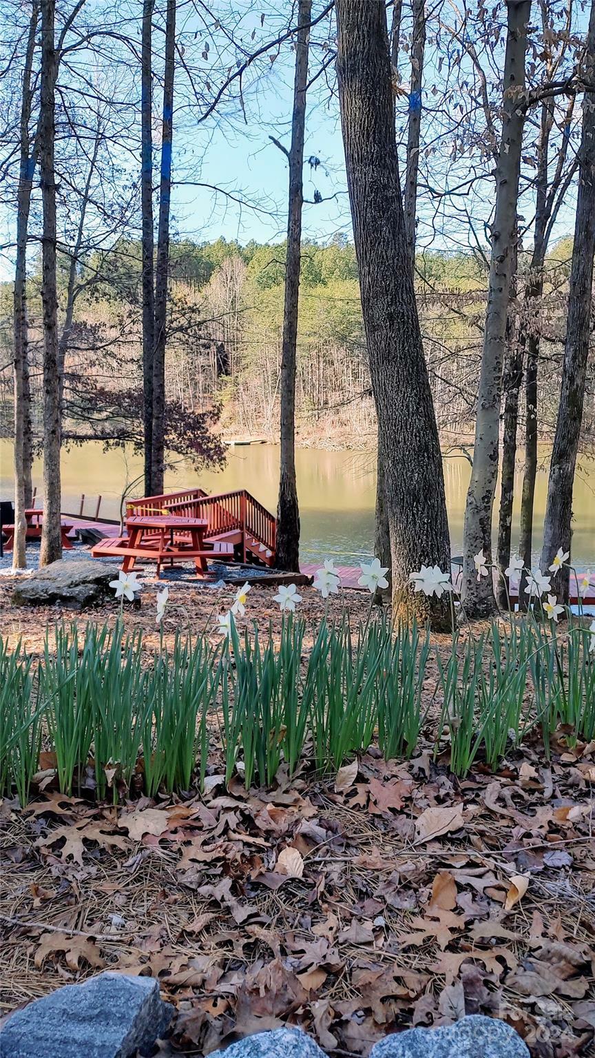 Property Photo: 00 Double Eagle Drive 14 NC 28761