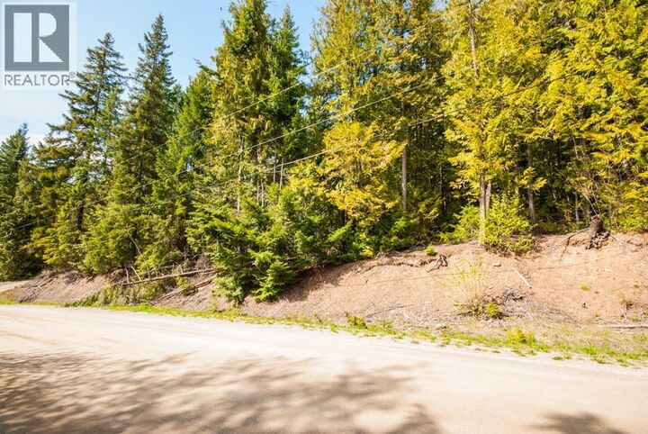 Lot 59 Copper Island Drive  Anglemont BC V0E 1M8 photo