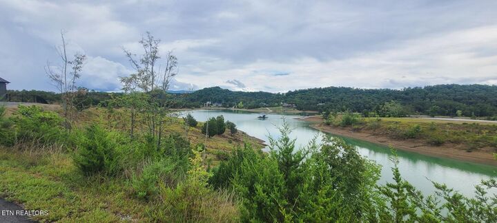 Property Photo:  Lot 30 Emerald Isle Blvd  TN 37725 