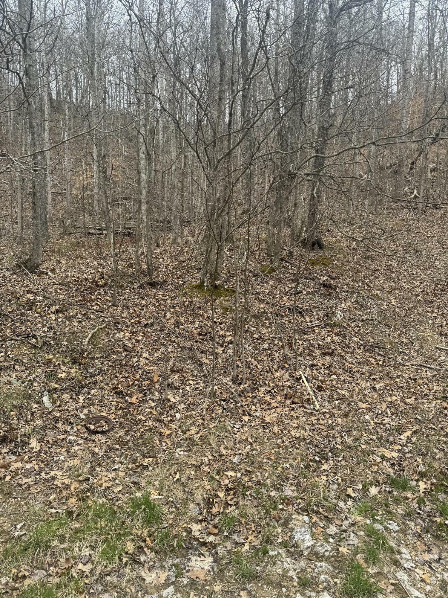 Property Photo:  10.57 Peck Pike  KY 42539 