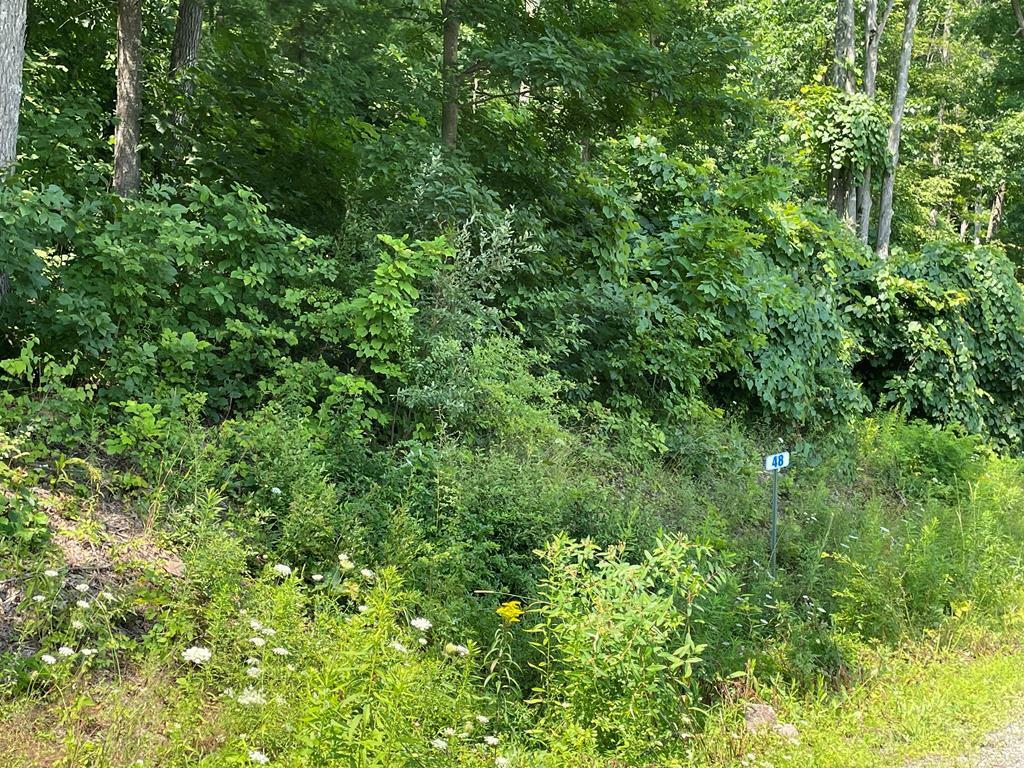 Property Photo:  Lot 48 Hemlock Hills Rd  PA 18848 