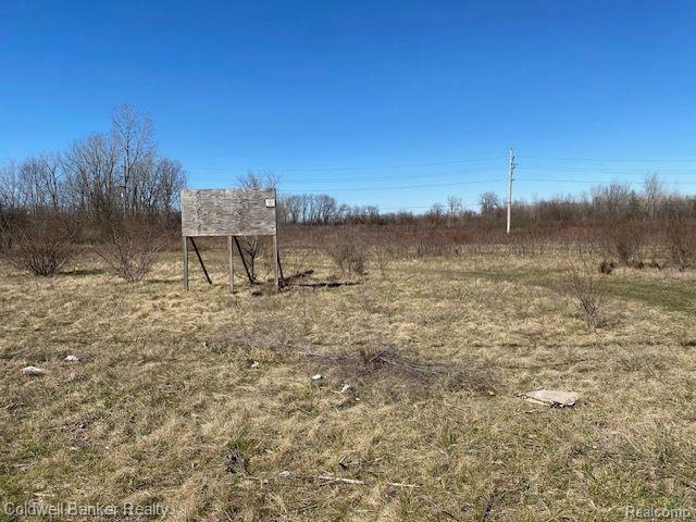 50990 Willis Road  Sumpter Twp MI 48111 photo