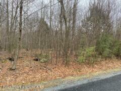 Property Photo:  Rainbow Run Lot 60  PA 18424 