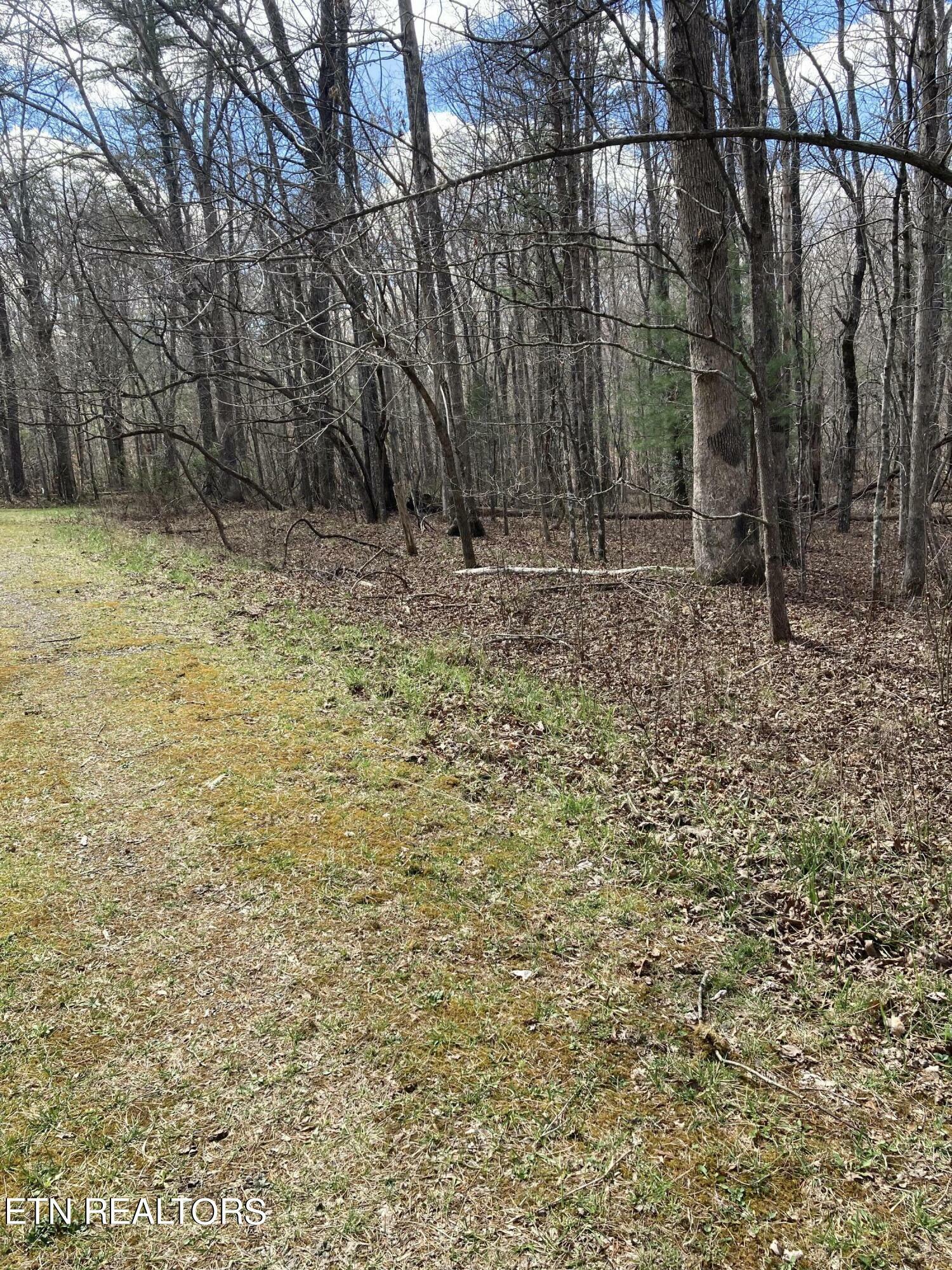 Property Photo:  22 Spillway Circle  TN 38558 