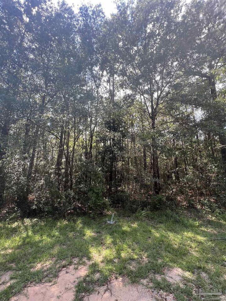0000 D Beverly Ann Cr  Milton FL 32570 photo