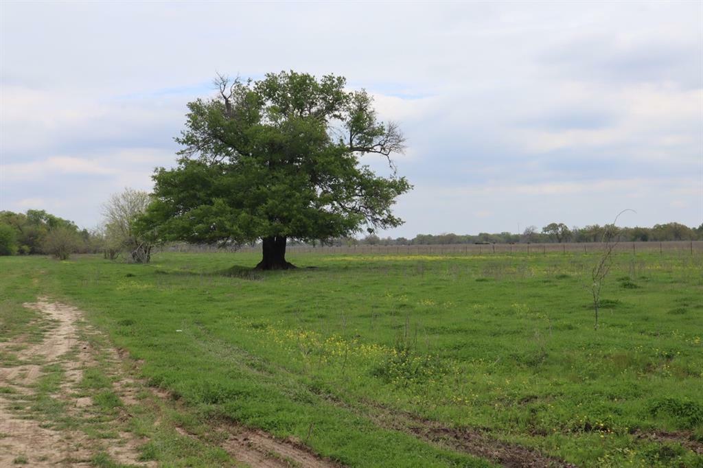 Property Photo:  0 County Road 4764  TX 75482 