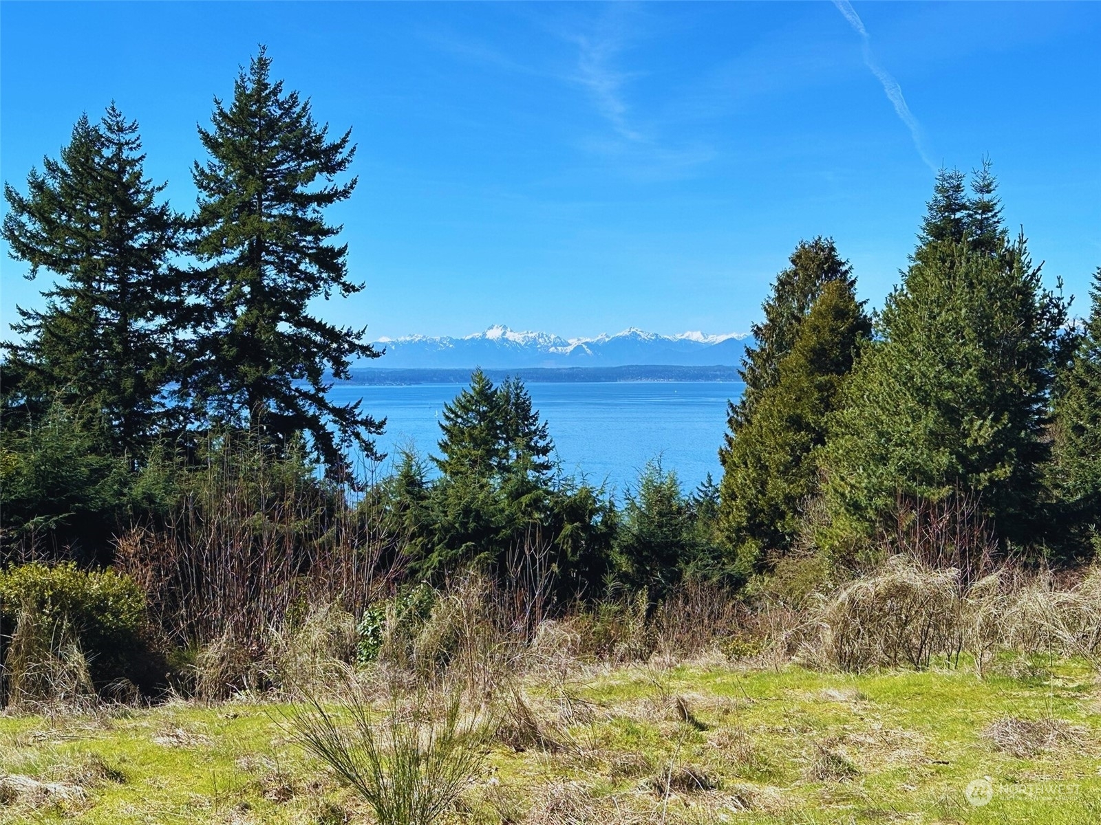 Property Photo:  13541  8th Avenue NW  WA 98177 