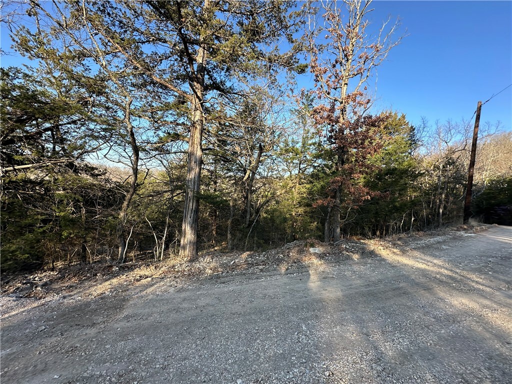 Property Photo:  Lot 5 Tomahawk Lane  AR 72732 