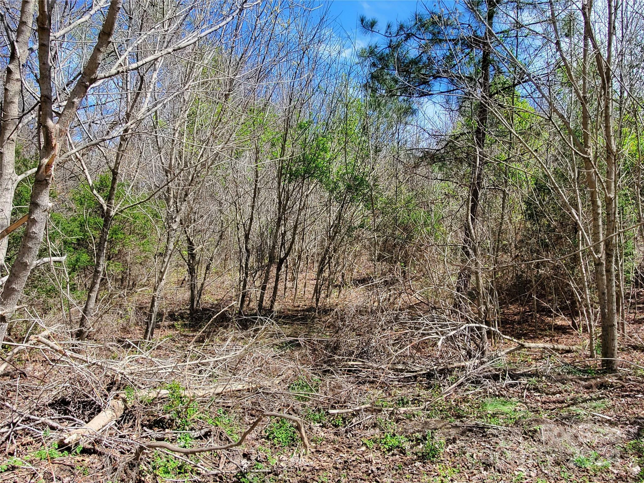 Property Photo:  000 Walker Branch Road 5  NC 28092 