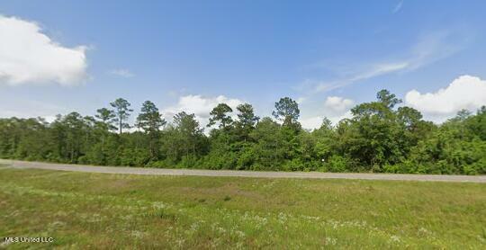 Property Photo:  Highway 49  MS 39561 