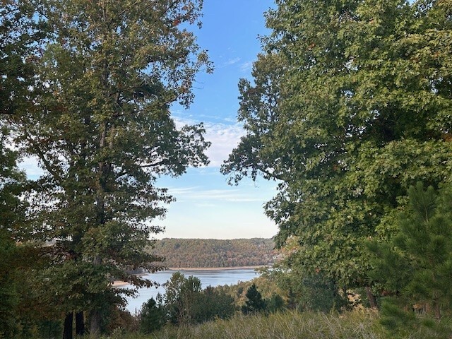Property Photo: Lot 40 W Summit Peaks AR 72632