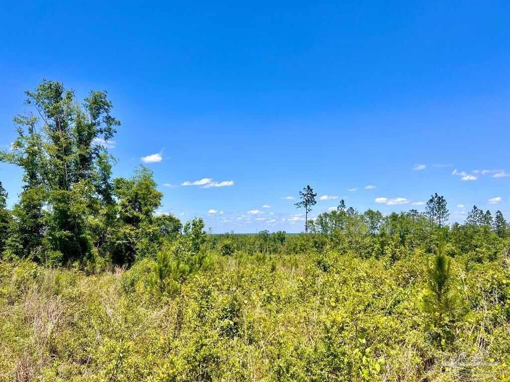 Property Photo: Lot 12-C Cotton Lake Rd FL 32577