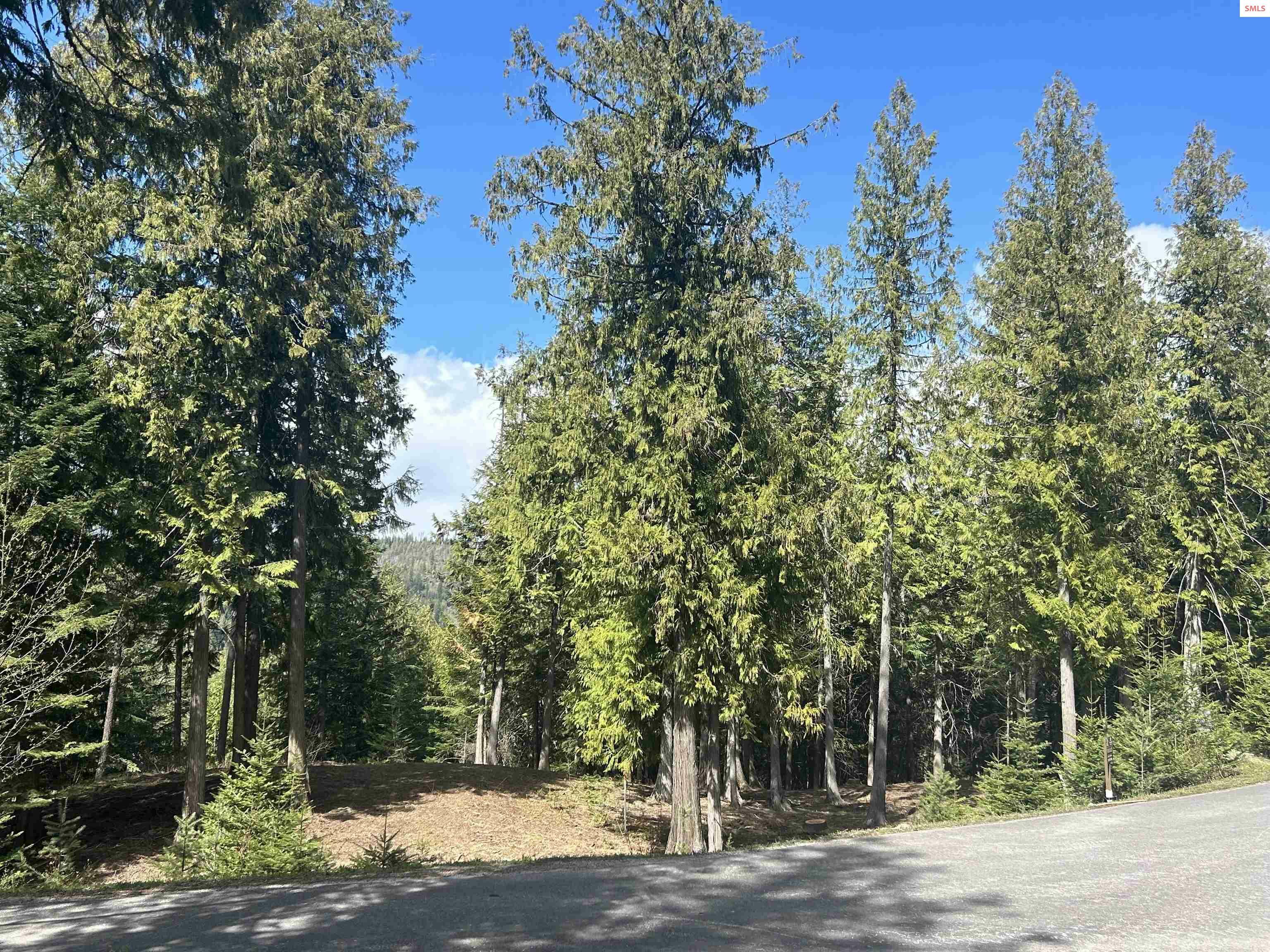 Property Photo:  Lot 17 White Cloud Dr  ID 83864 