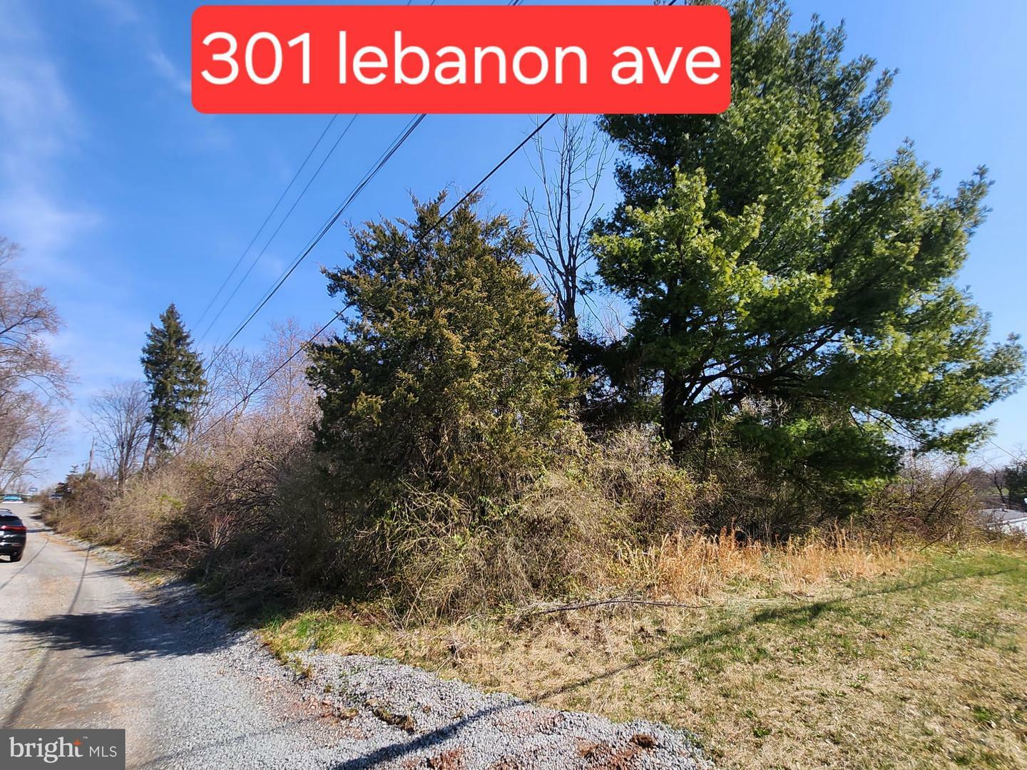 Property Photo:  301 Lebanon Avenue  PA 19508 