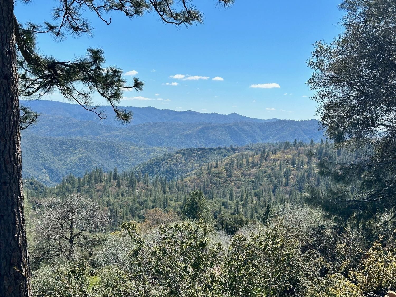 Property Photo:  1019 Sandalwood Drive  CA 95247 