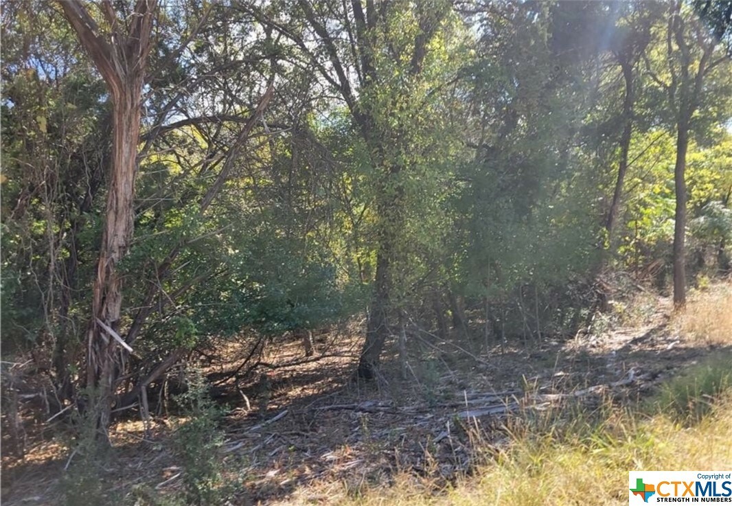 Property Photo:  2654 Fort Rd Road  TX 76513 