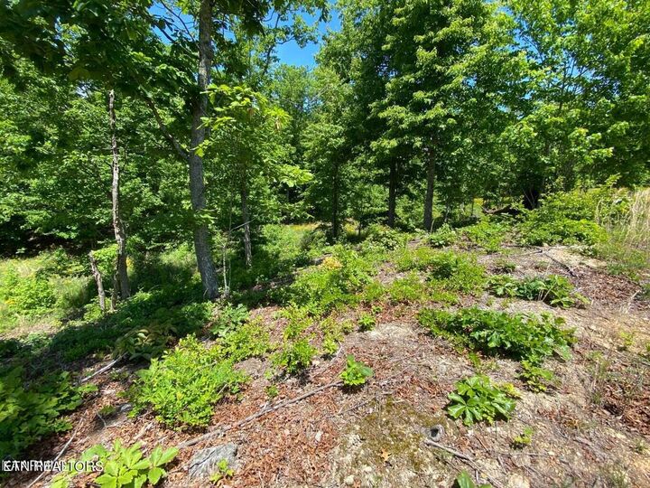Property Photo: Water View Drive TN 37854