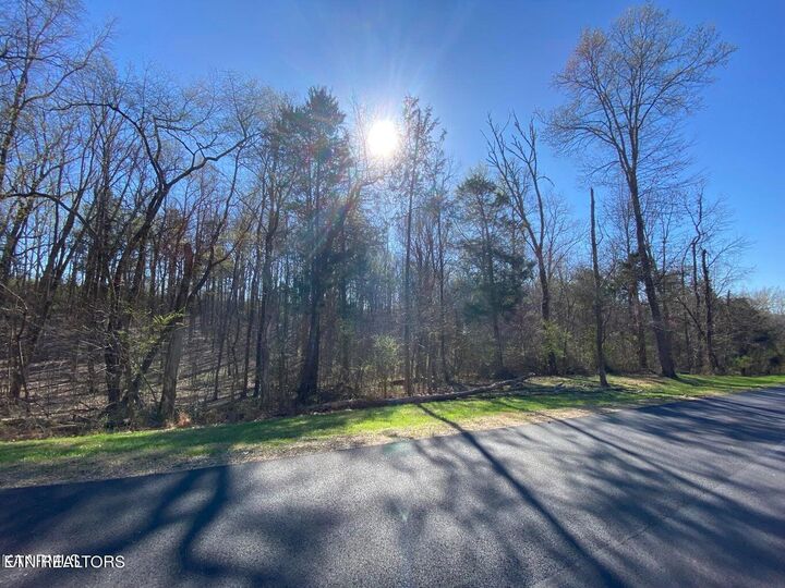 Eagle Ridge Drive  Rockwood TN 37854 photo