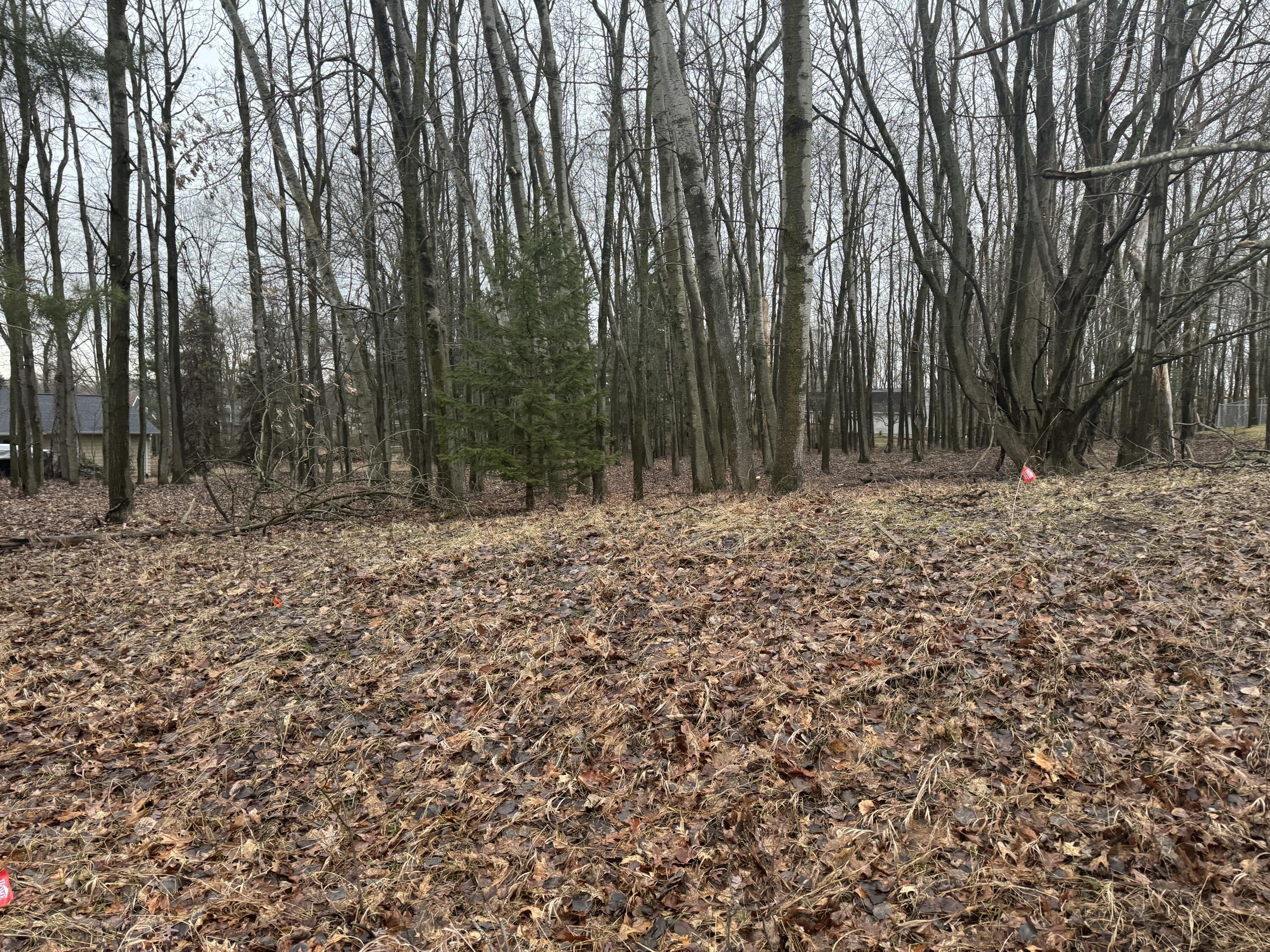 Property Photo: 1032 Lincoln Drive MI 48893