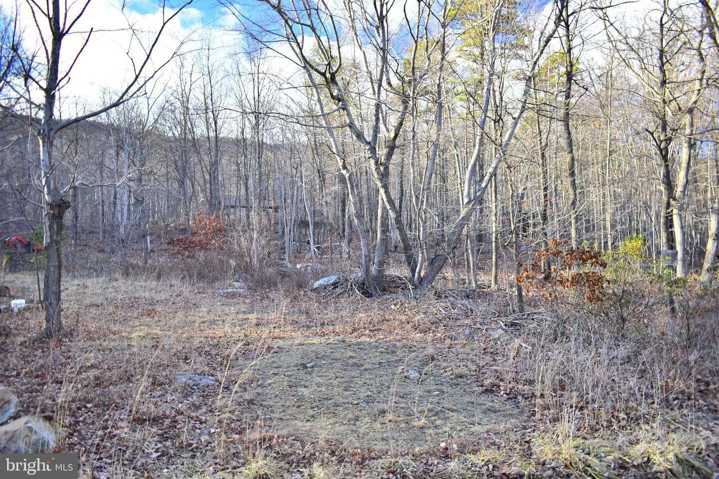 Property Photo:  12 Elk Trail  VA 22602 