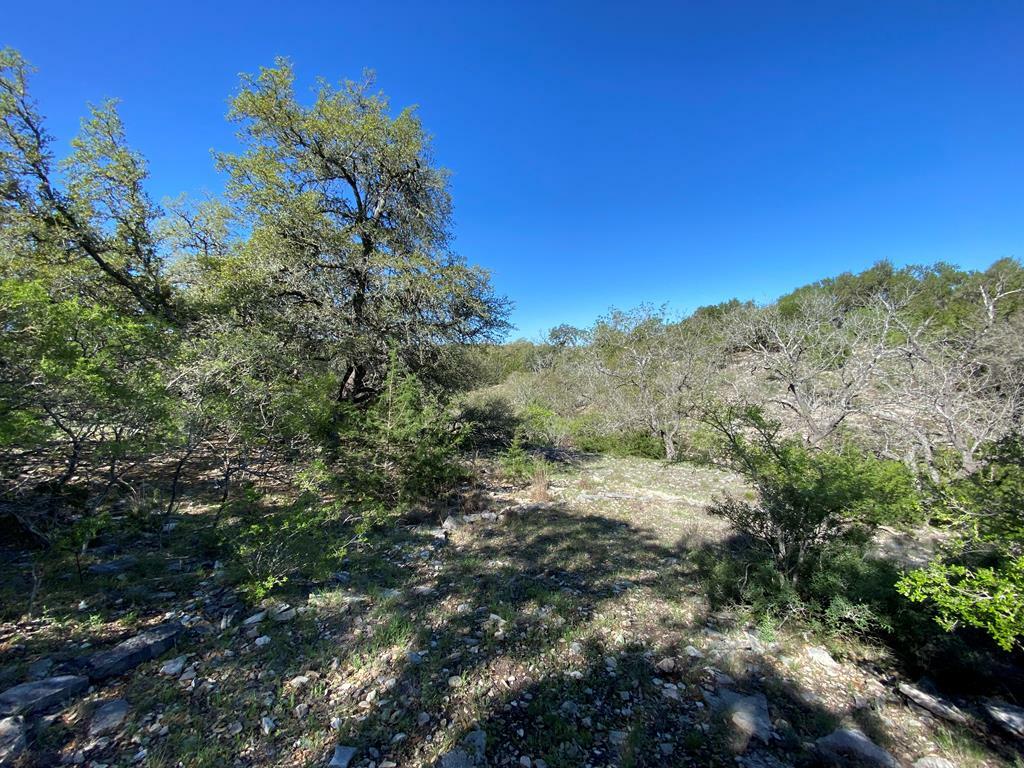 Property Photo:  624 Deer Rd  TX 78624 