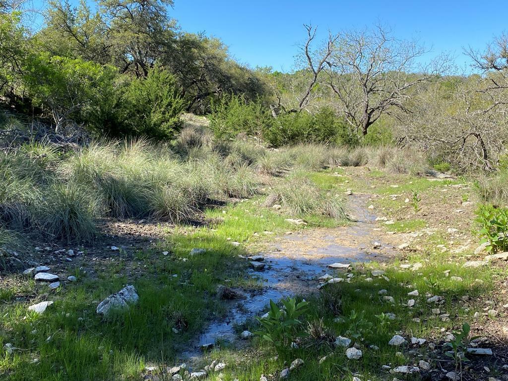 Property Photo:  624 Deer Rd  TX 78624 