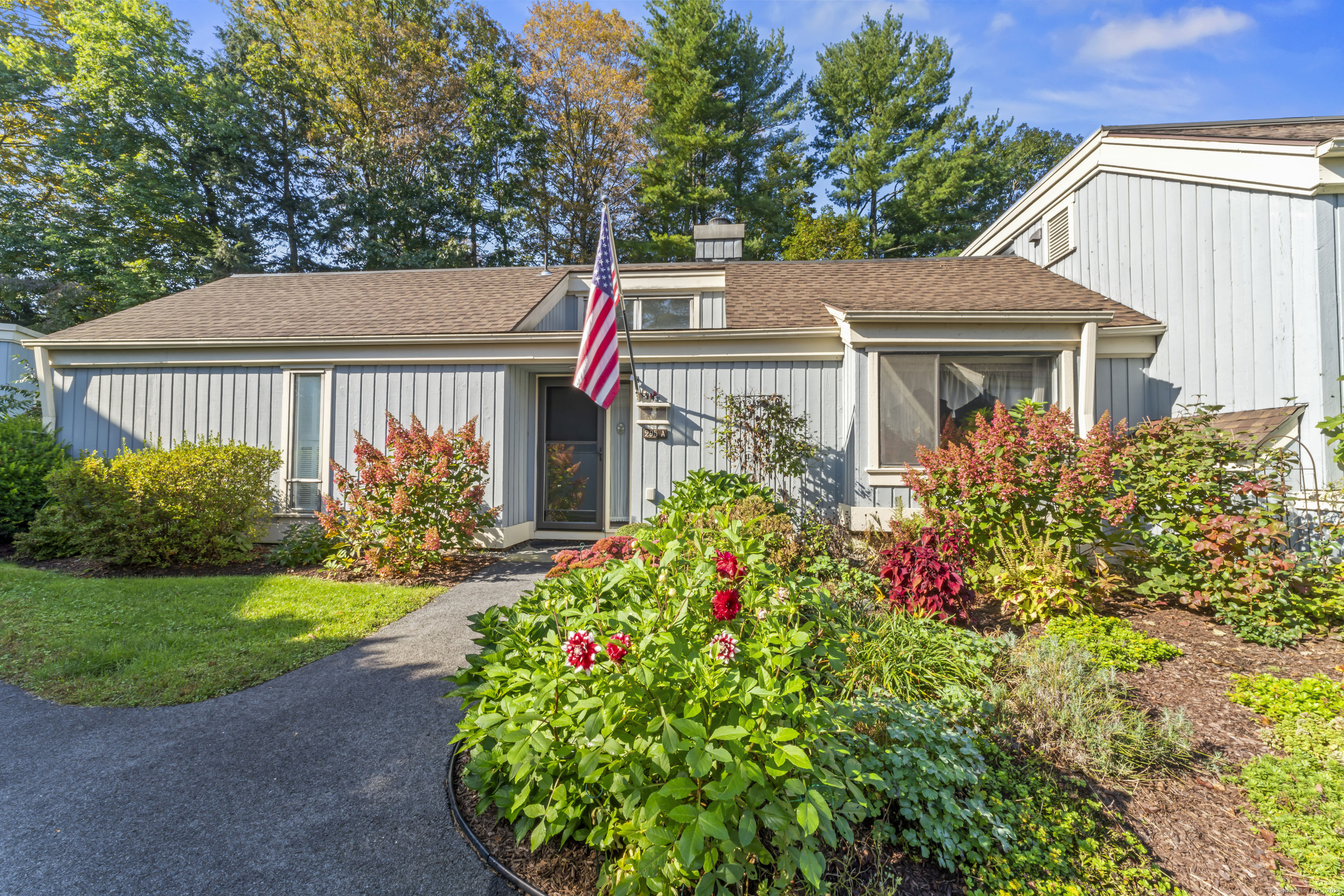 Property Photo: 295 Heritage Village A CT 06488