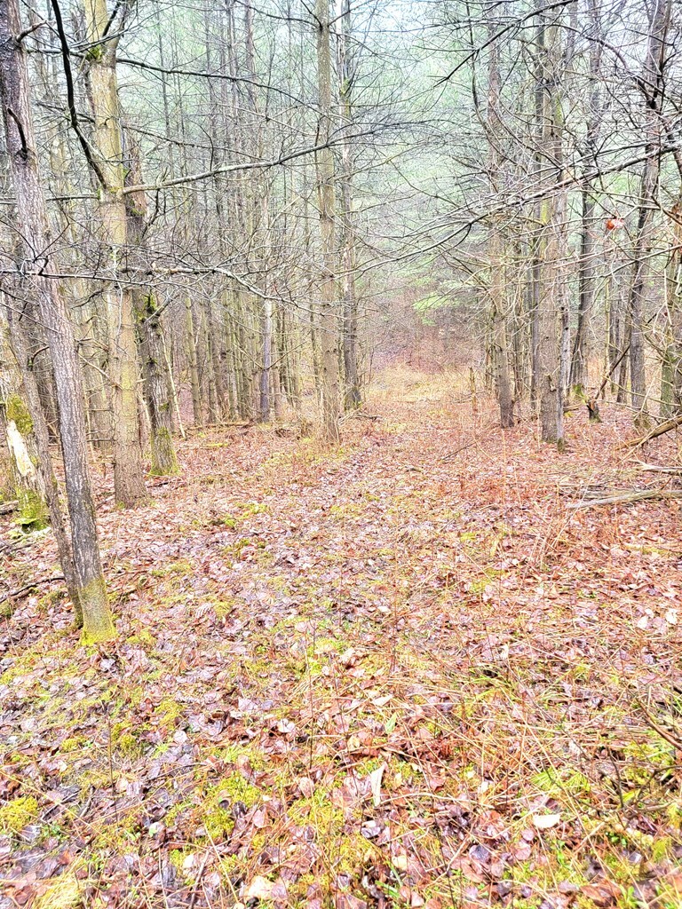 Property Photo: 0 Sugar Hill Road NY 14812