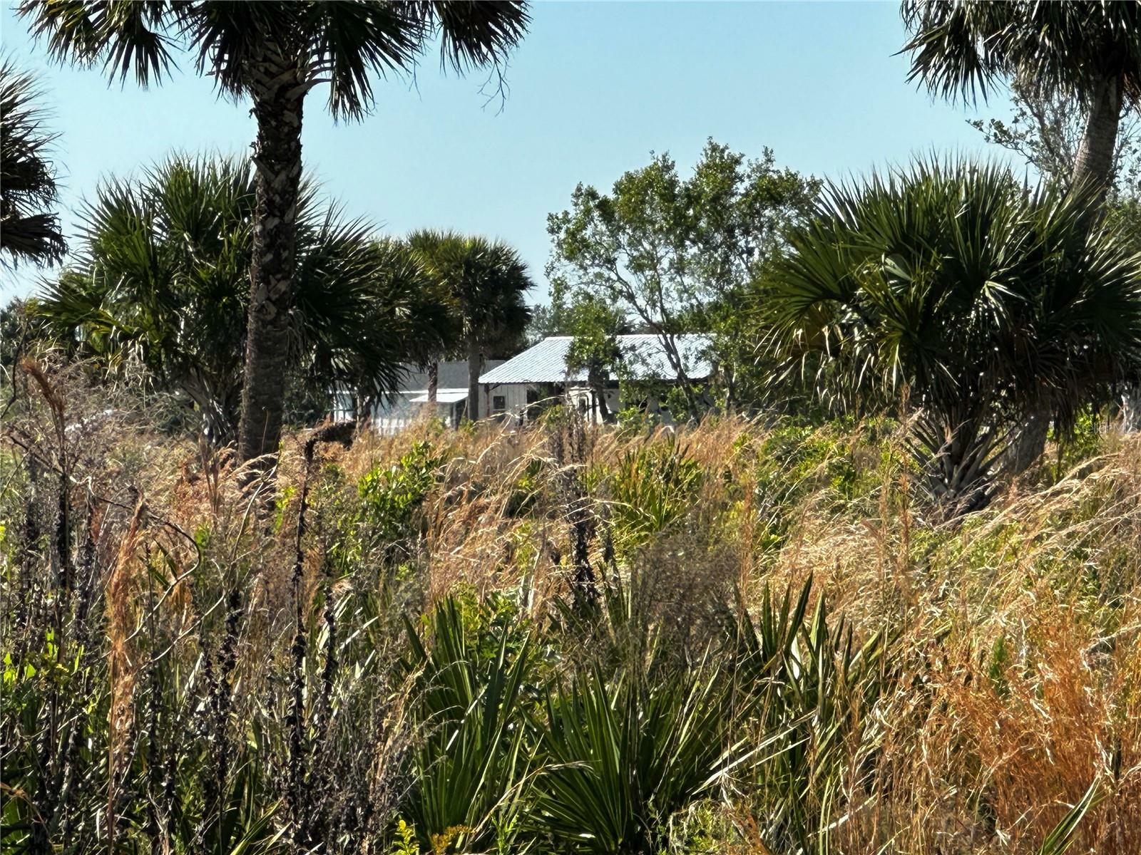 Property Photo:  1189 Cabbage Trail  FL 34974 