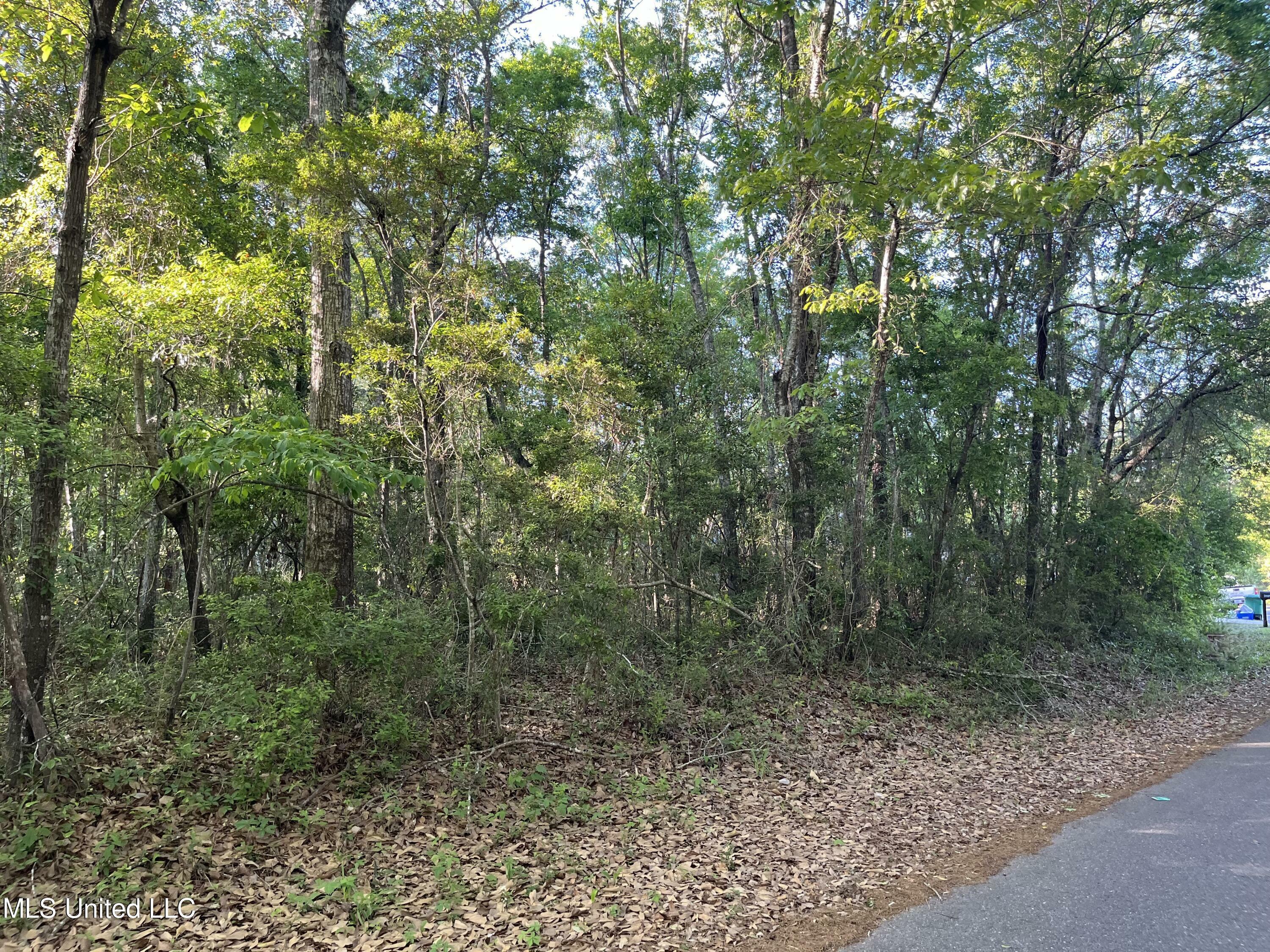 Property Photo:  Lots 36-37 Honduras Drive  MS 39553 