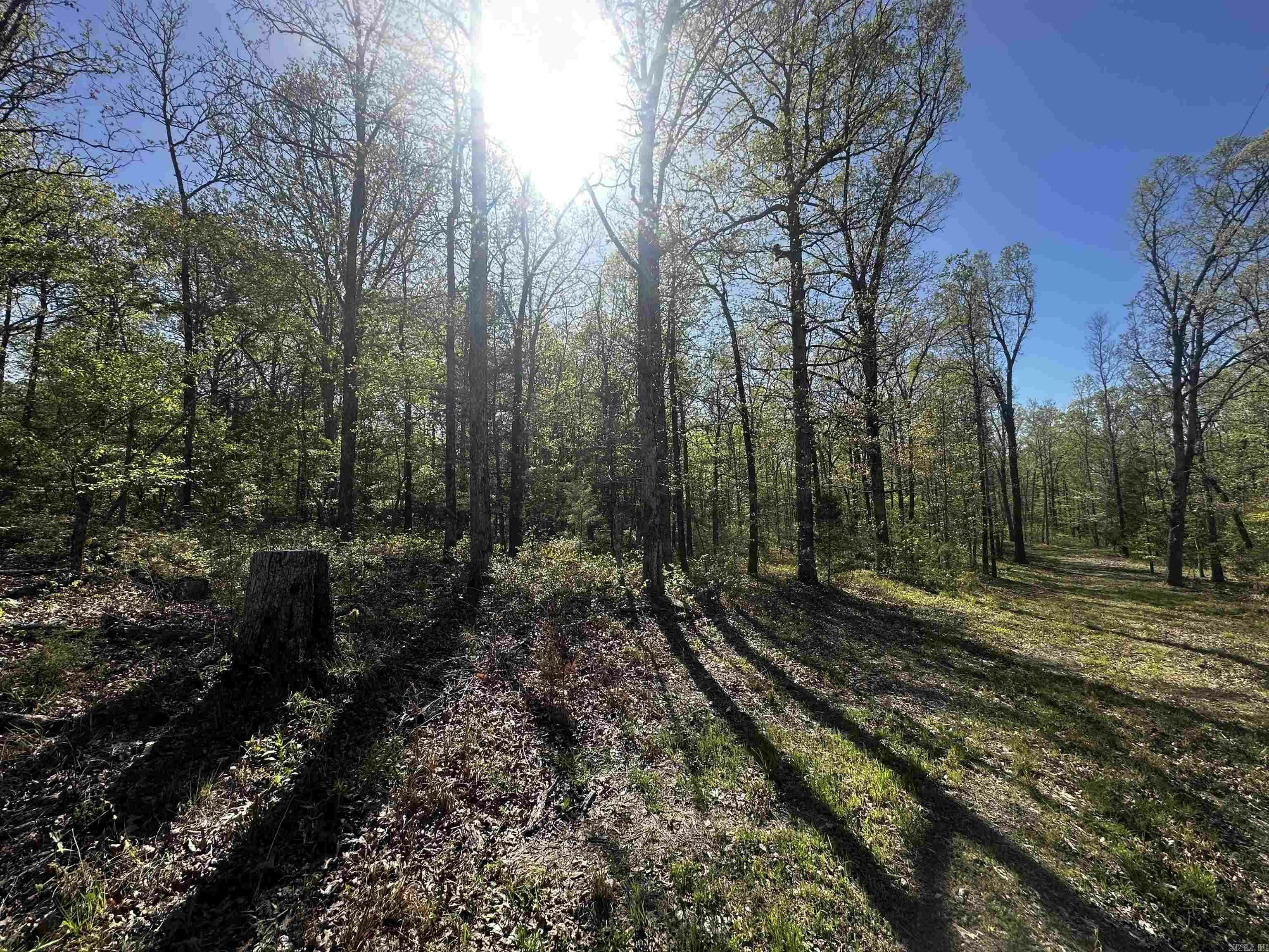 Property Photo:  Lot 15 Cobb Rd  AR 72016 