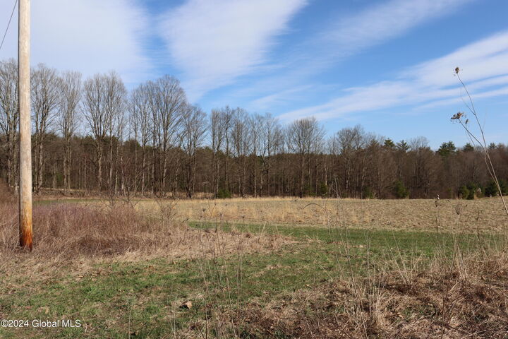 Property Photo:  1 Chuck Hollow Drive  NY 12020 