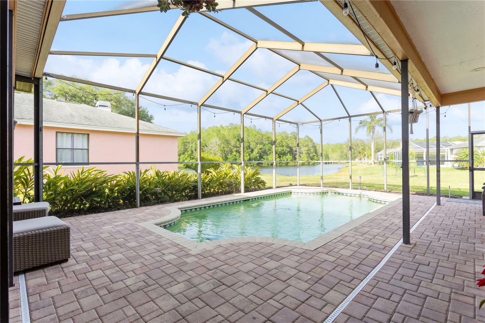 Property Photo:  2643 Saddlewood Lane  FL 34685 