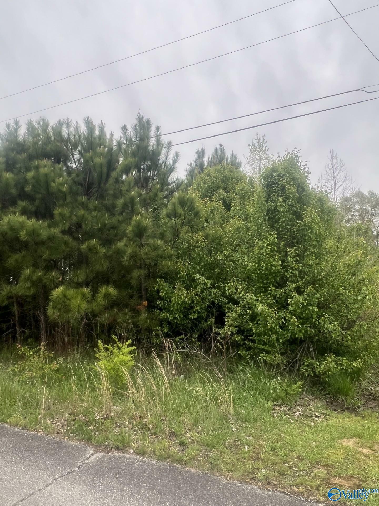 Property Photo:  Lot 19 Jennifer Lane  AL 35957 