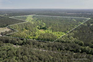 Property Photo:  109.67 Ac Old Hwy 49 And Cl Slade Rd.  MS 39425 