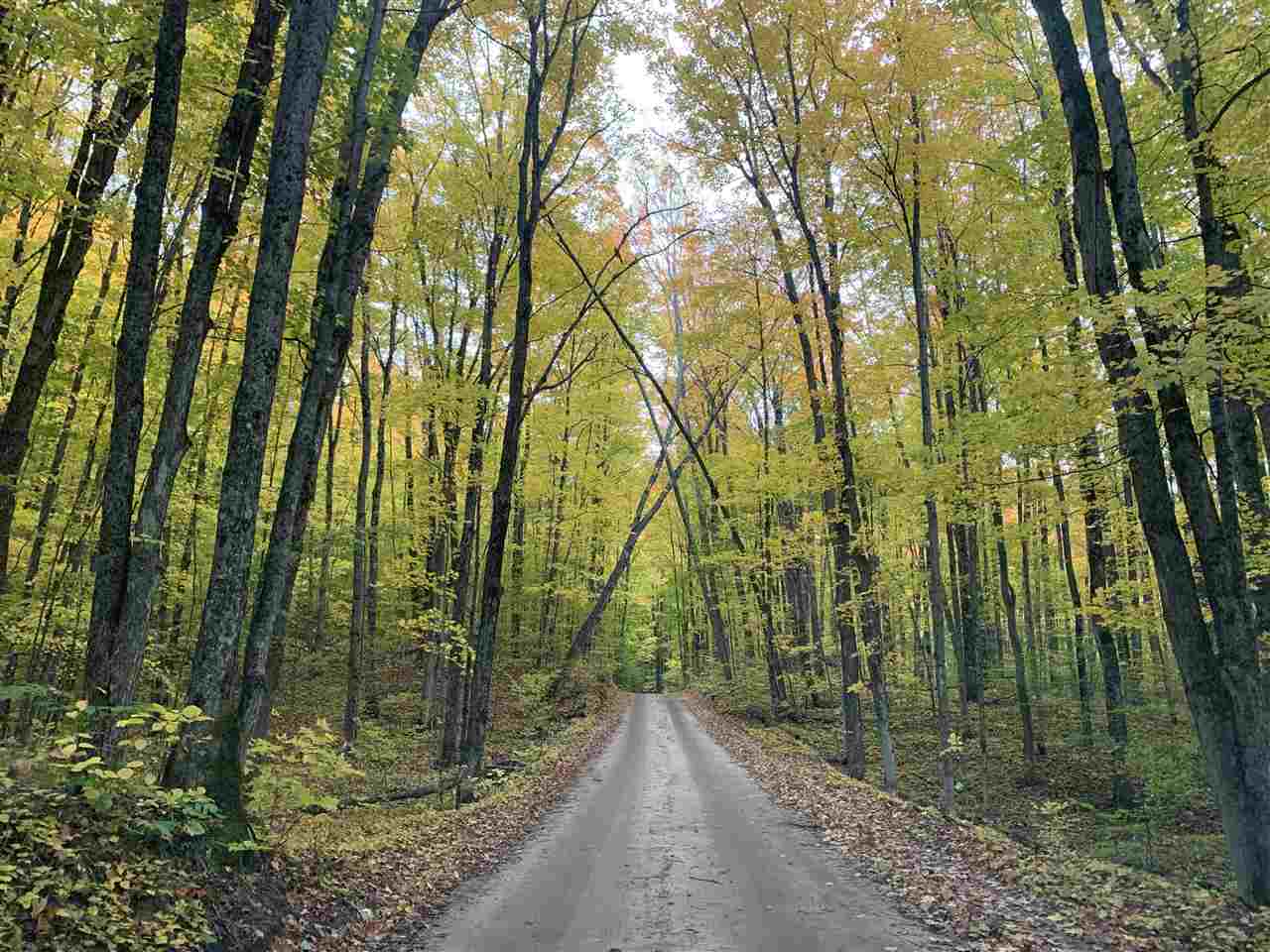 Property Photo:  2996 S Airstrip  MI 49727 