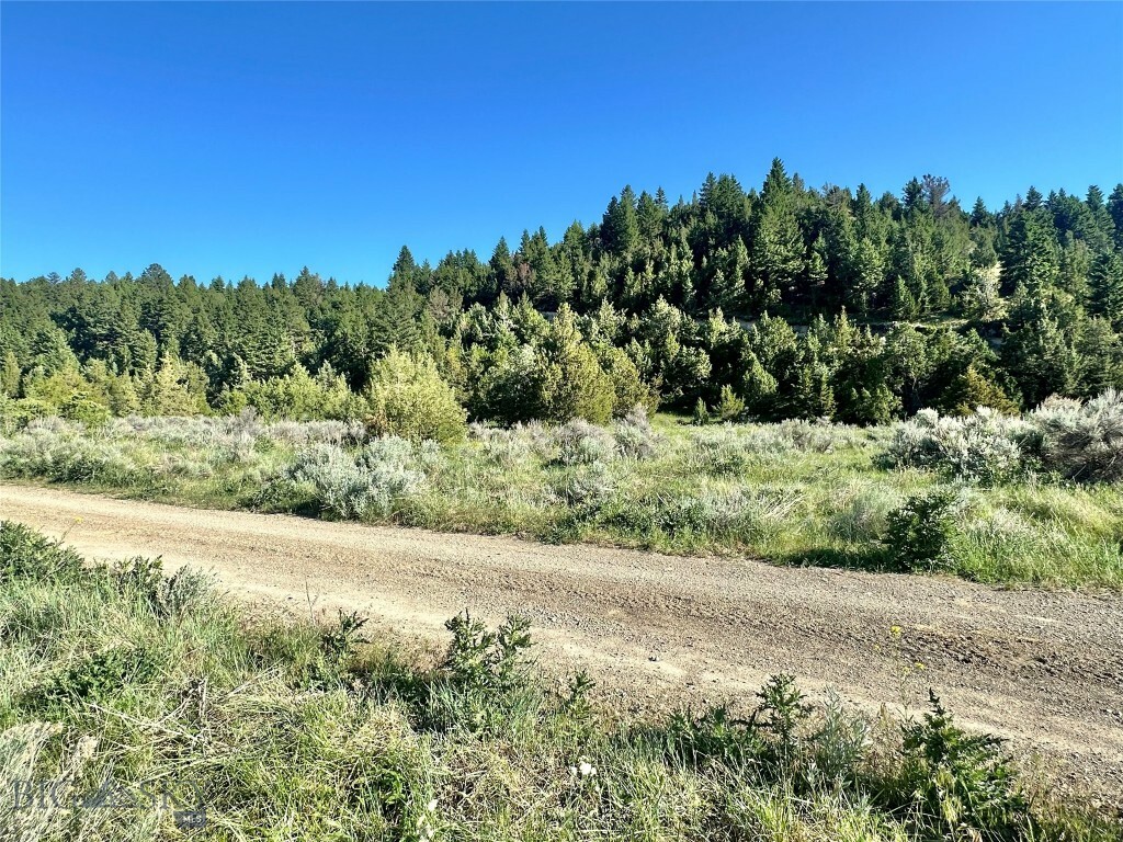 Property Photo:  Lot 290 Tbd Broken Creek Road  MT 59752 