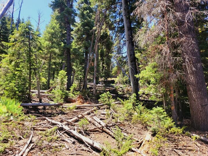 Property Photo:  880 W Shale Cir  UT 84762