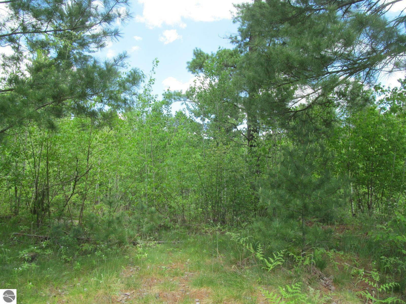 Property Photo:  0 White Pine Drive  MI 49601 