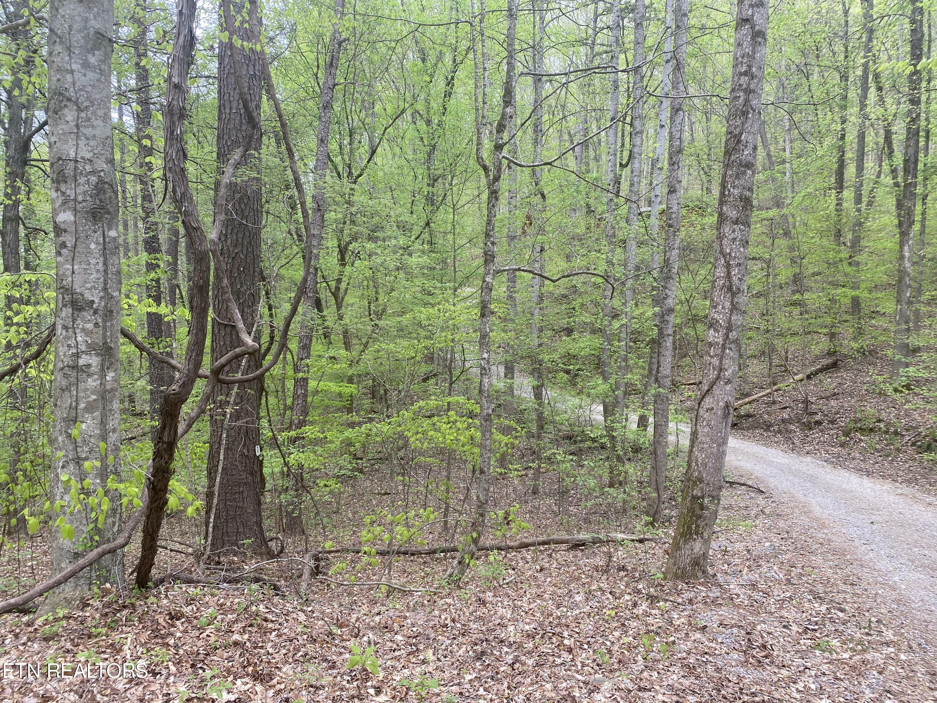 Property Photo:  Lot#4,5&6 Lakewood Rd  TN 37807 