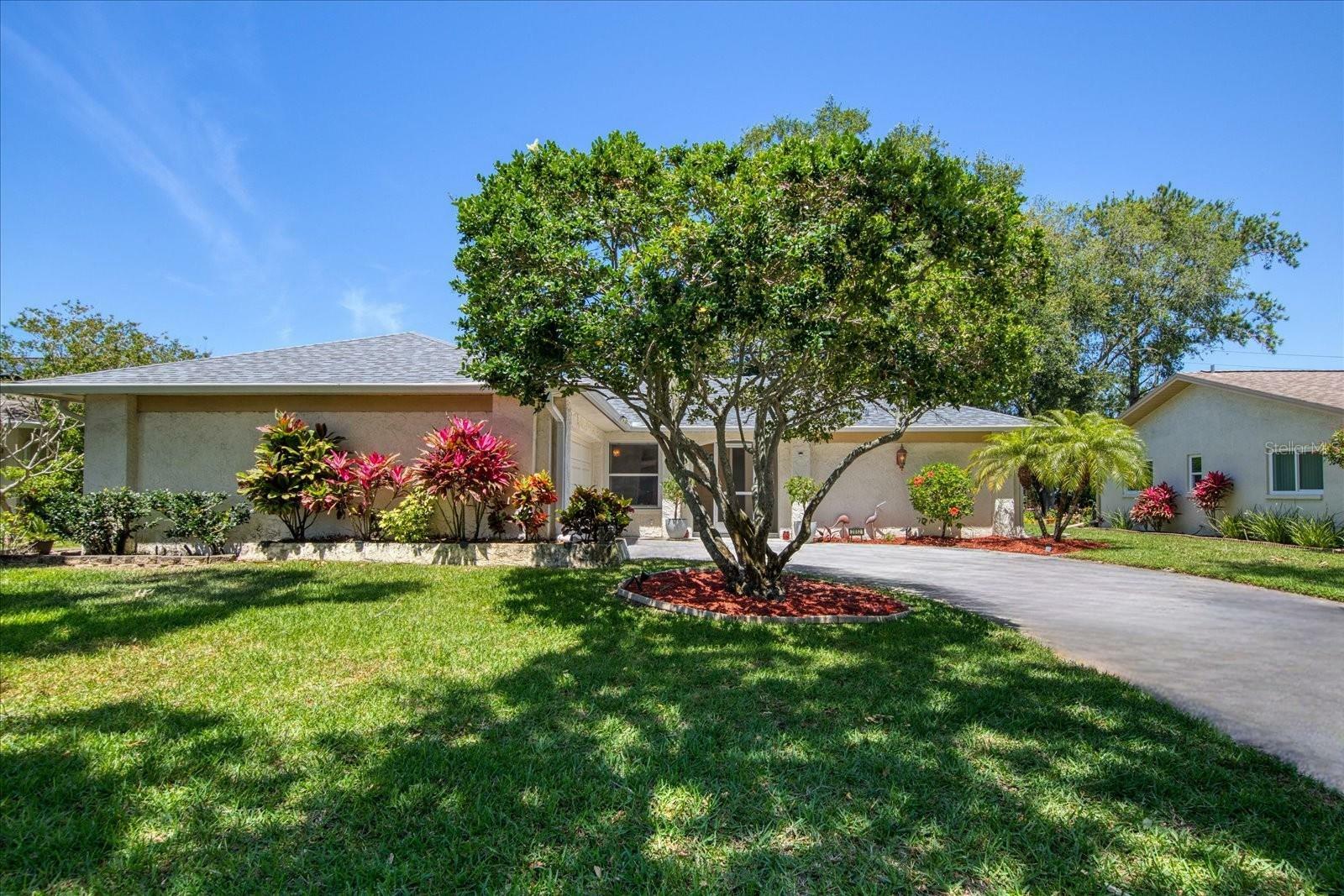 Property Photo:  2852 Thistle Court N  FL 34684 