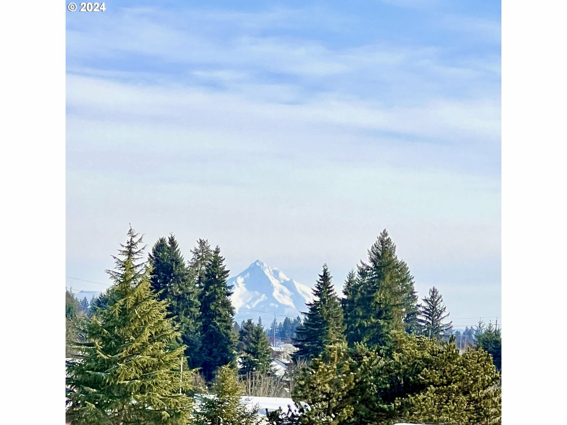 Property Photo:  1000 NW 103rd Cir  WA 98685 