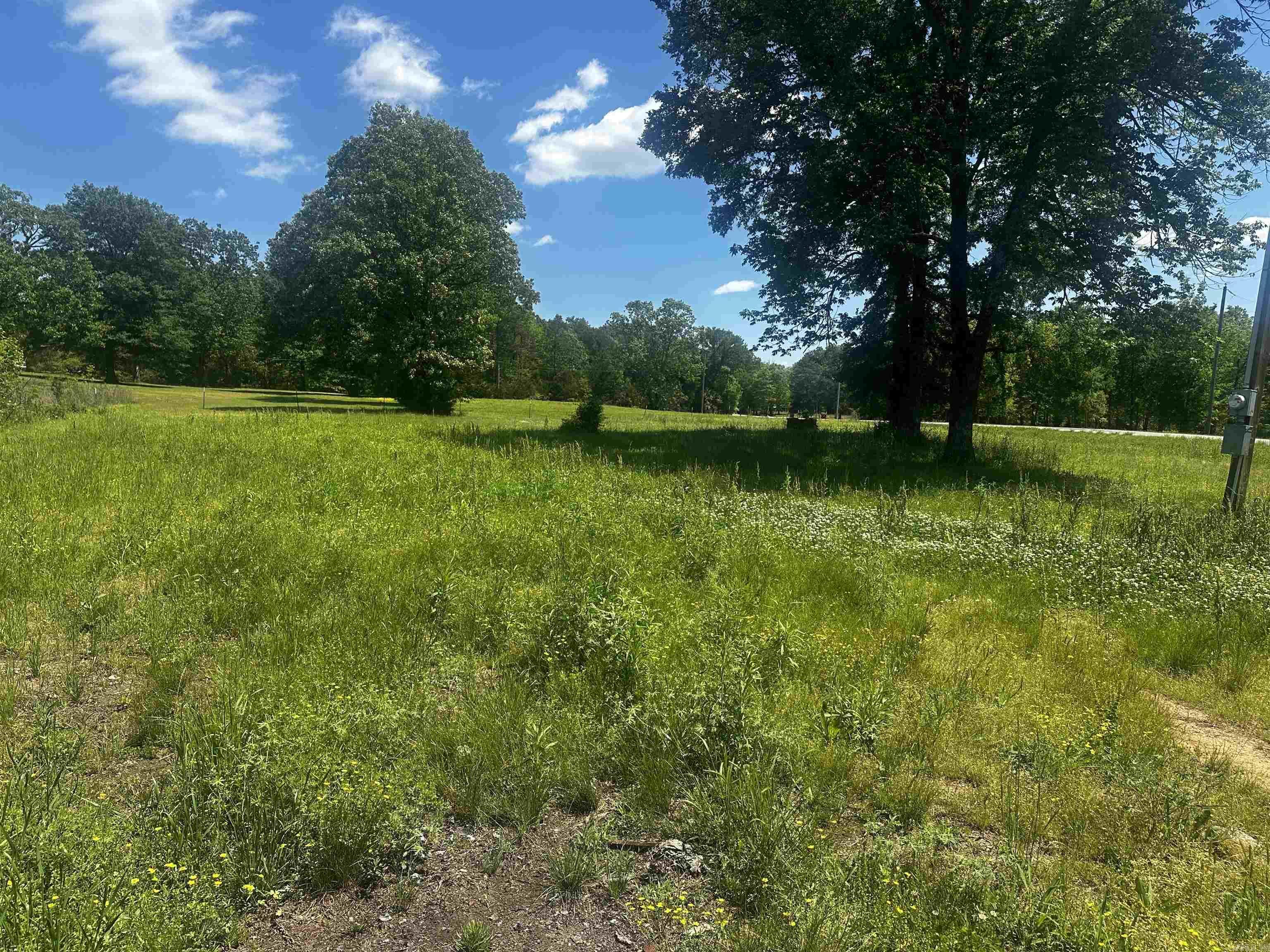 Property Photo: 834 Lollie Road AR 72106