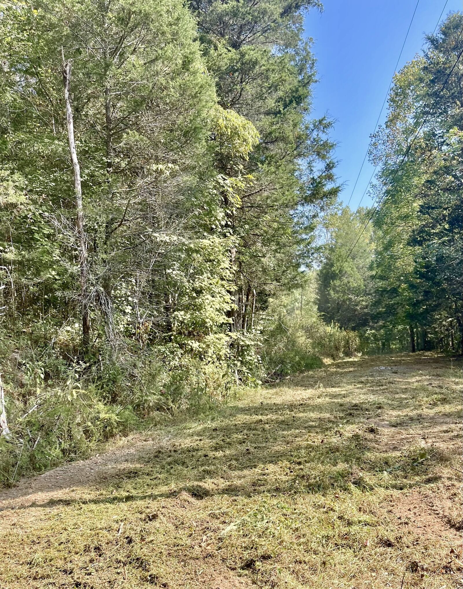 Property Photo:  0 Halls Hills  TN 37166 