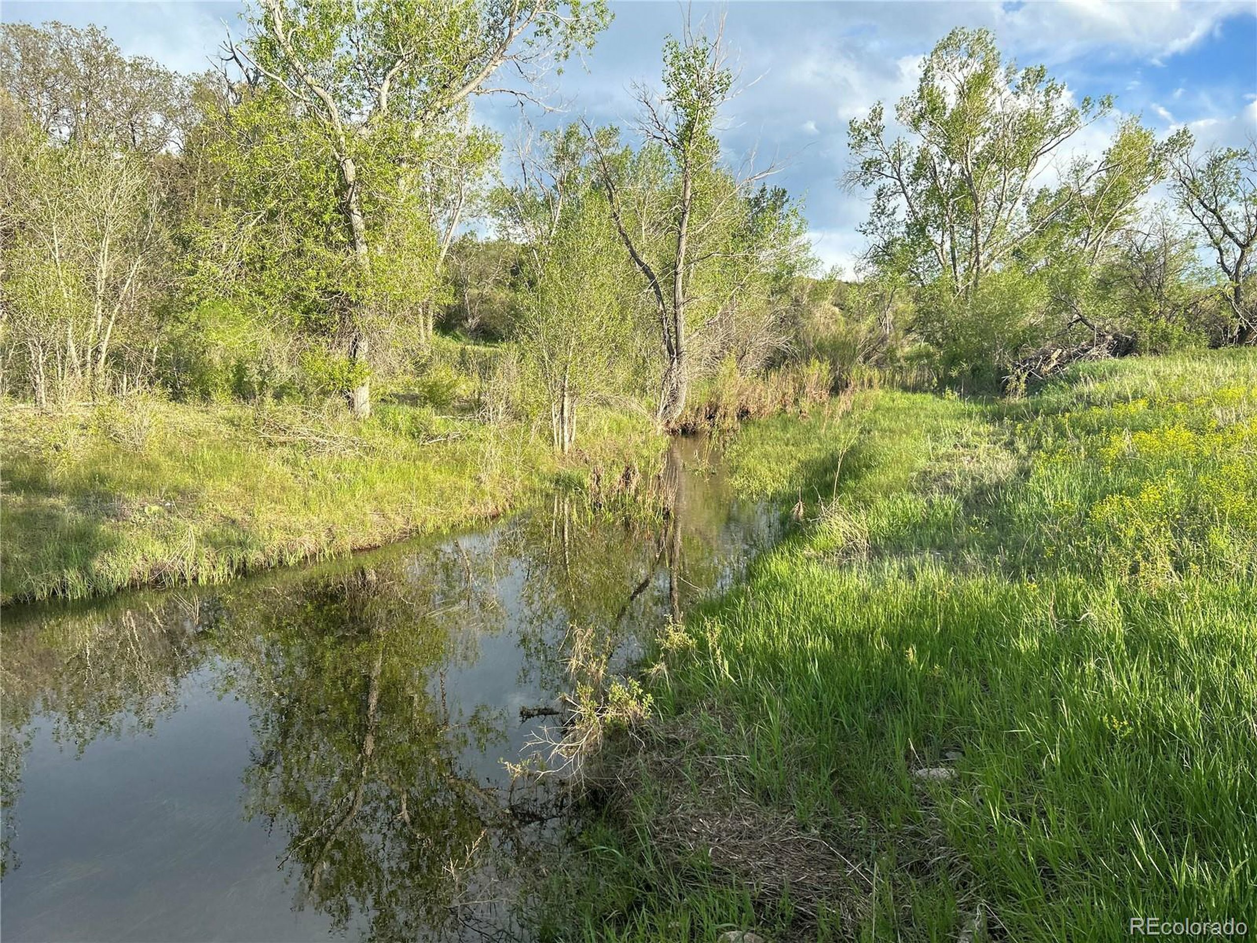 Property Photo:  1481 N Castlewood Canyon Rd  CO 80116 