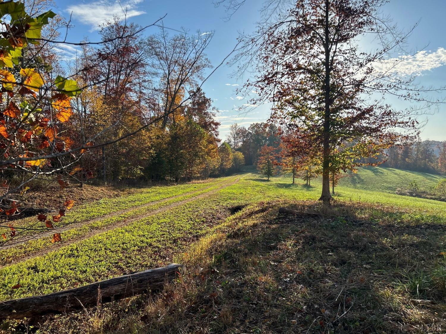 Property Photo:  0 Burgess Road  VA 24572 