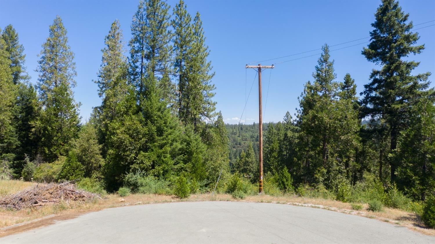 Property Photo: 19350 Tyleranne Lane CA 95689